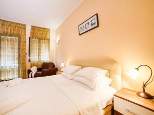 Duplex Apartment with Shared Terrace room in Apartments Raymond