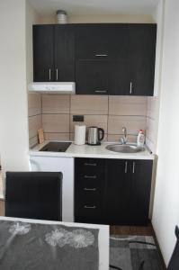 Apartment Penjisevic