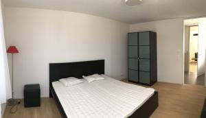 Close to Zürich centre and Airport