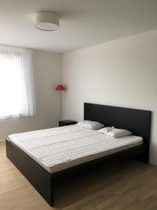 Close to Zürich centre and Airport