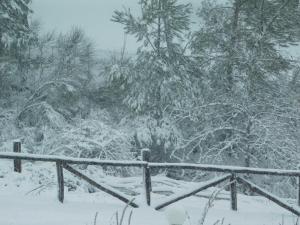 Archontariki Guesthouse