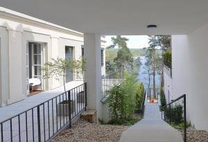 Terasy Mládí Máchovo jezero