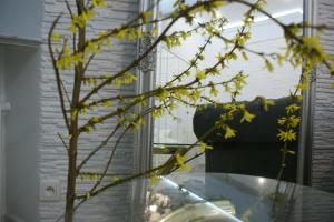 Lovely apartment- Poznanska 16