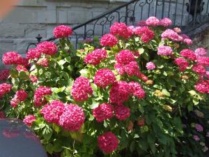 B&B / Chambres d'hotes Chateau de Beaulieu : photos des chambres