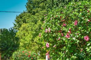 Heliópolis I - 3hvězdičkové hotely ve městě Sevilla