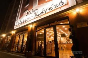 Malom Club Panzió - باجة