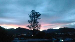 Hotel Edelweis 2 Bajawa