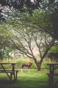 Grincourt B&B- with No Load shedding