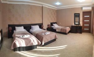 Hotel New Telavi