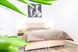 Apartment Casa Friedrich Czell