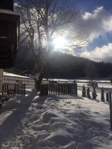 Ferienwohnung Ötscherwiese