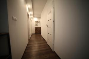 Apartament No5