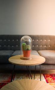 The Dutchies apartment