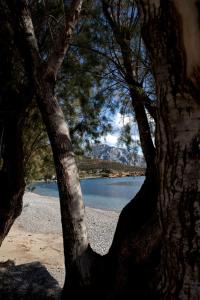 Themelina Studios Kalymnos Greece