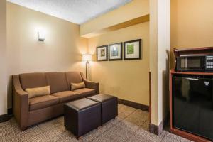 King Suite with Sofa Bed - Non-Smoking room in Comfort Suites Sawgrass
