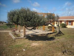 Agriturismo Depalmas img11