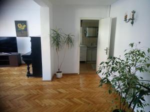 Apartament Turystyczny w Stepnicy