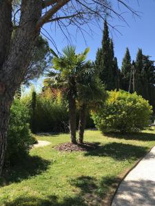 Maisons d'hotes Le Cherche Midi, entre Nimes, le Pont du Gard, Uzes, Arles : photos des chambres