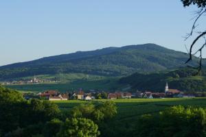 Gîte FLEUR DE VIGNES