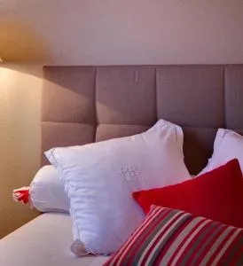 Gîte FLEUR DE VIGNES - 伊泰尔斯维莱