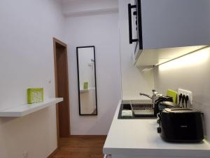 Renaissance Studio Apartment