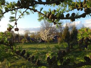 Landhaus Kranichwiese