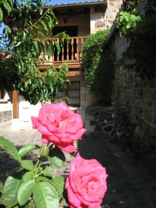 Viviendas Rurales Aldea de Dosamantes