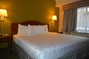 Standard King Room room in Chicago Lakeshore Hotel