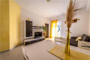 Apartmani Vice
