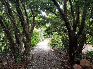 Camelot Boutique Accommodation - Beechmont