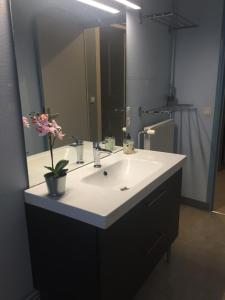 Appartements CAP COUTELLERIE T2 et T4 Thiers hypercentre- horaires adaptables- Ideal PROS et GROUPES : photos des chambres