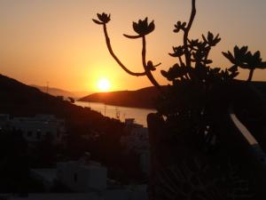 Pension The Big Blue Amorgos Greece