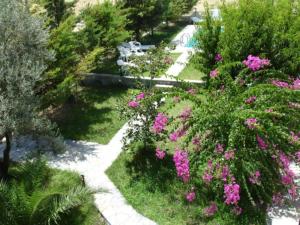 Dryoussa Apartments Samos Greece