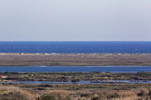 Amazing Windmillhouses