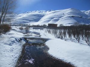 Safranière du M Goun