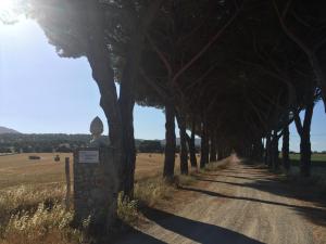 Agriturismo La Valentina Nuova