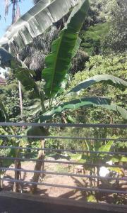 Madu Sentana House