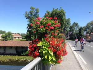 B&B / Chambres d'hotes Repos a Riberac B&B : photos des chambres