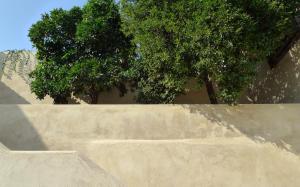 SOBRE RIBAS 2|12