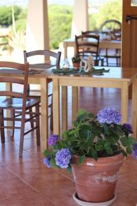 Locanda Rurale Lu Salconi