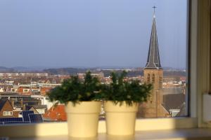 Blankebil Studios & Apartments