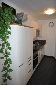 Apartment Ischl Home