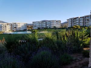 Lomas de Papudo Departamento