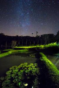 Macaw Lodge