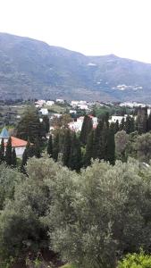 Green Oasis Andros Greece