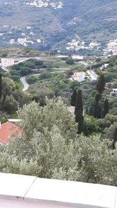 Green Oasis Andros Greece