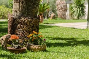 Ta Pefka apartments, Sithonia - Halkidiki Halkidiki Greece