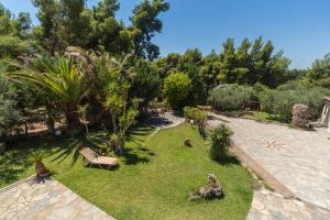 Ta Pefka apartments, Sithonia - Halkidiki Halkidiki Greece