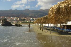 Green Oasis Andros Greece