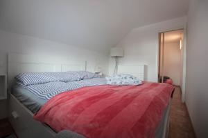 Apartment Amazing View